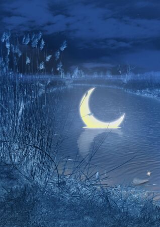 moon in the riverの写真素材