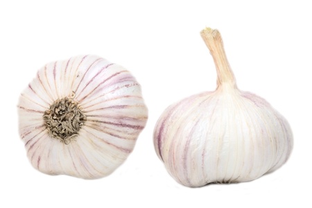 Two garlicの写真素材