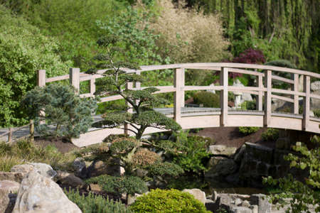 Bridgeの写真素材