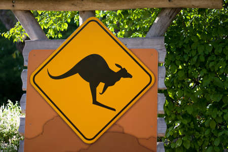 kangaroo signの写真素材