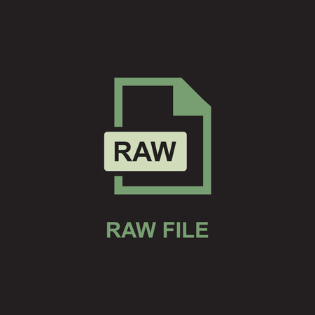 RAW File Format Icon. RWA extension symbol. Rawa extension vector iconのイラスト素材