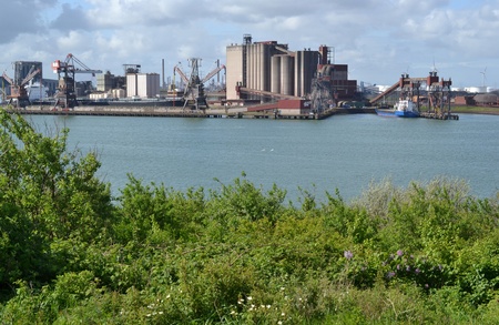 On the headland at Rozenburg is much industry to see but also nature, the port of Rotterdam  The Netherlands のeditorial素材