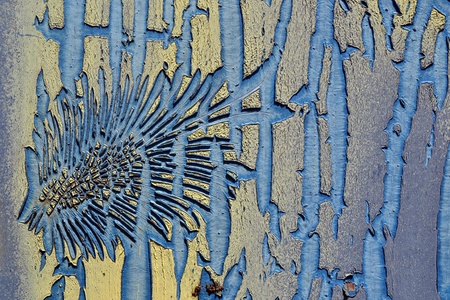 Weathered paint on an old drawer の写真素材