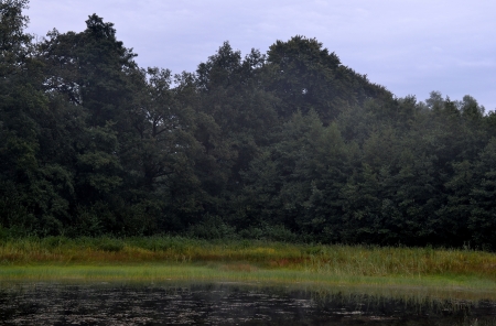 Sunrise at a small pool along the Boelekeerlpad in Zelhem, The Netherlands の写真素材