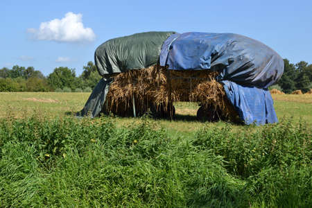 A tarpaulin protects the straw on a trailer in a meadow in Zelhem, The Netherlands の写真素材