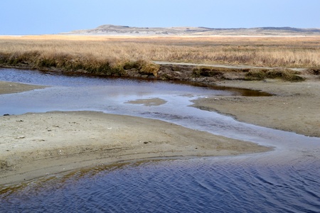 Nature reserve De Slufter on Texel, Netherlands 