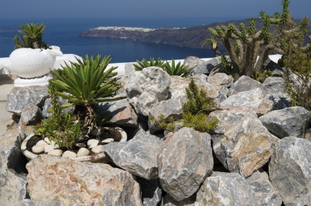 Garden in Oia on Santorini in Greece の写真素材