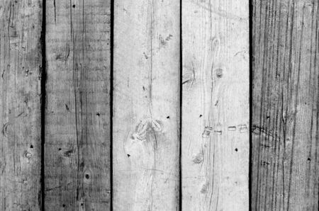 Fence with wooden planks in Leidschendam, Netherlands 
