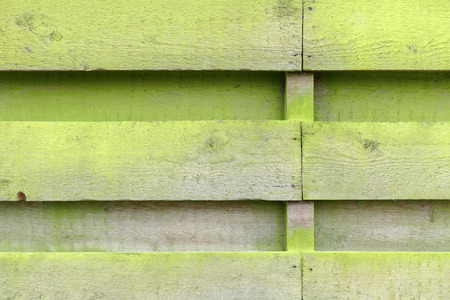 Weathered fence with wooden planks with algae in Lemmer, Netherlands.の写真素材