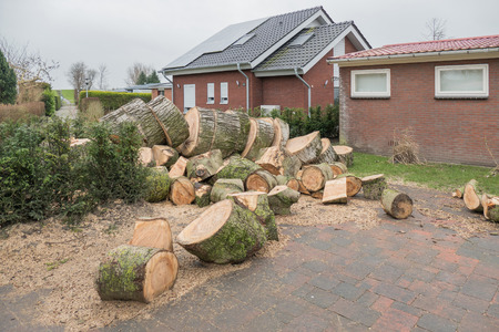 NETHERLANDS - LEMMER - MEDIA FEBRUARI 2016: Transformed sawn tree on a resort.のeditorial素材