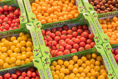 NETHERLANDS - ROTTERDAM - CIRCA APRIL 2016: Tommies cherry tomatoes. Tommies introduced 15 years ago as the first snack tomato in the Netherlands. Tommies is part of Greenco.のeditorial素材