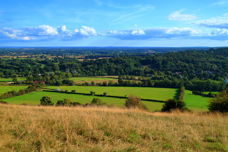 A view of the English countryside from the peak of Box Hill