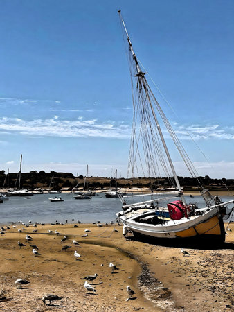 Sailboat on the beach at low tide in Alvor, Algarve, Portugal. Summer 2024 coastal view with boats, seabirds, and blue skies.の写真素材