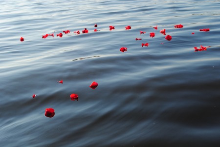 memoriesの写真素材