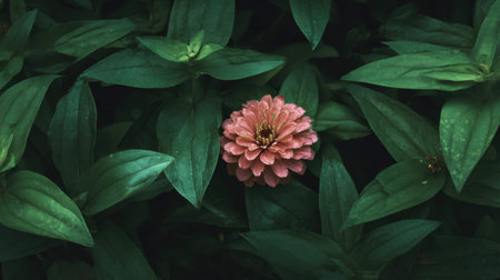 Zinnia blooming inside a dense cottage garden bed curated backyard floral layout nestled in pointy rich green leaves overhead macro photography top down view natural moody lighting landscape format abundant copy space premium quality no people no text no logo