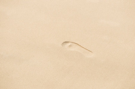 One footprint on a sandy beach, holiday conceptの写真素材