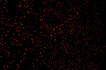 Red lights in the night, festive background perfect for Christmas or New Year