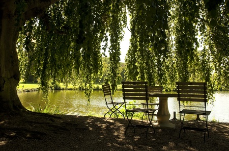 Table and chairs in the shade next to a pondの写真素材