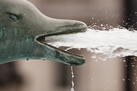 Bronze dolphin fountain spitting water through the mouthの写真素材