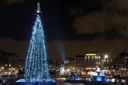 LONDON - DECEMBER 18: The Christmas tree on Trafalgar Square is illuminated with blue lights on December 18, 2012 in London, UK. Since 1947 the pine tree has been a gift from Norway.のeditorial素材