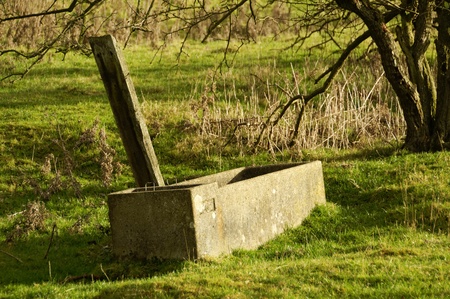 Through in a field by a sunny winter dayの写真素材