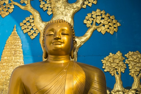 Golden Buddha statue at the World Peace Pagoda in Pokhara, Nepalの写真素材
