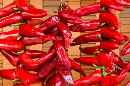 Espelette peppers dryingの写真素材