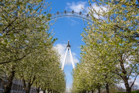 LONDON, UK - CIRCA APRIL 2013  The EDF Energy London Eye is the tallest ferris wheel in Europe のeditorial素材