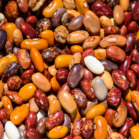 Colorful beans drying in the sun
