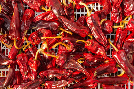 Espelette peppers drying