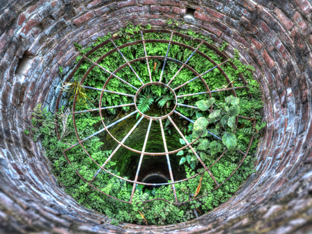 Plants growing in a well, HDR photographyの写真素材