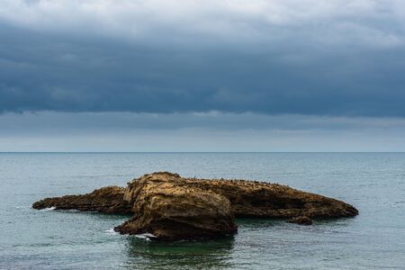 Seaguls on a rock, sea landscape stormy weatherの写真素材