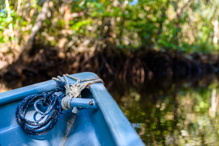 Small blue boat in the mangrove in Indonesiaの写真素材