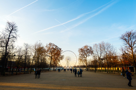 PARIS, FRANCE - CIRCA DECEMBER 2016: The Big Wheel on Concorde square as seen from the Tuileries Garden.のeditorial素材