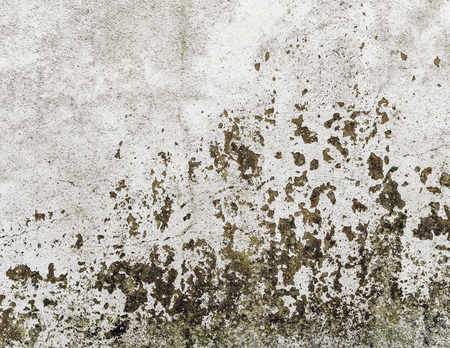 Detail of an old grungy wall textureの写真素材