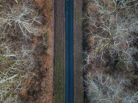 Aerial view of straight road in Amboise forest, France. Winter season.の写真素材
