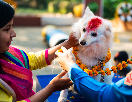 KATHMANDU, NEPAL - OCTOBER 29, 2016: Nepal police celebrates Kukur Tihar (dog festival) at Central Police Dog Training School.のeditorial素材