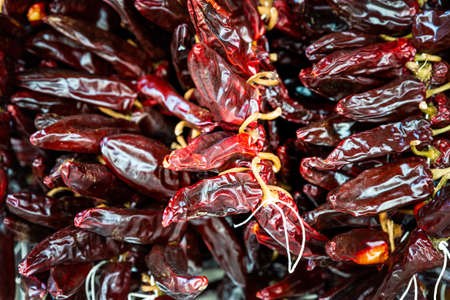 Strings of dried PDO Espelette chilli peppersの写真素材