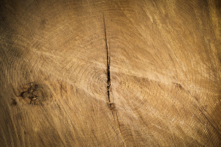 Tree trunk cross section background with a crack through the middleの写真素材