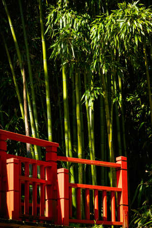 Red bridge and bamboo, Japanese garden detailの写真素材