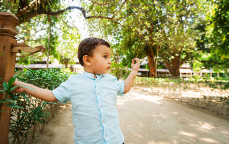 Little boy in beautiful subtropical park, toddler wearing light blue shirtの写真素材