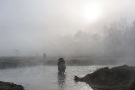 SAURAHA, NEPAL - CIRCA DECEMBER 2014: Tourists doing an elephant safari in Chitwan National Park.のeditorial素材