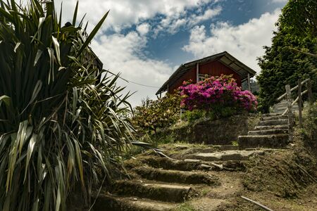 Living with Natureの写真素材