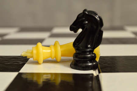 The horse can down a kingの写真素材