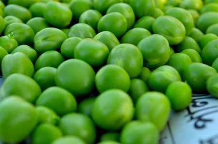 Green peesの写真素材