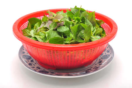 Dish of Vietnamese herbs on a white backgroundの写真素材