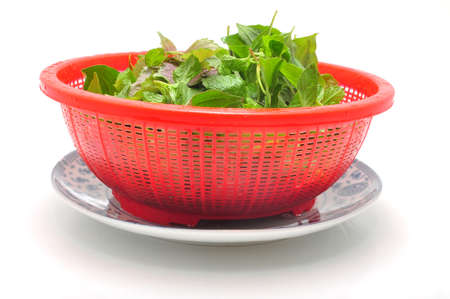 Dish of Vietnamese herbs on a white backgroundの写真素材