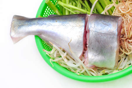 Pangasius or Vietnamese catfish in the kitchen in a white backgroundの写真素材