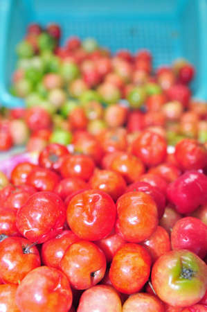 Malpighia fruitの写真素材