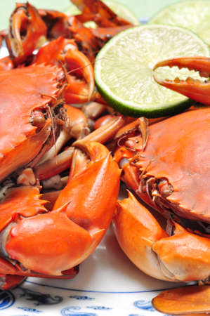Crab from the Mekong delta on the dishの写真素材